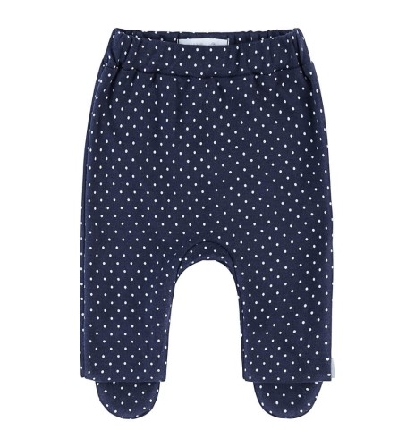 Półśpioch granatowy w kropki